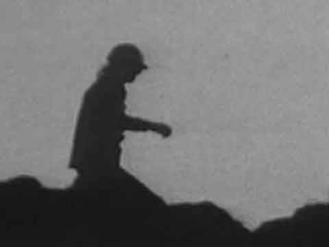 Weißtunoch (Scheer)